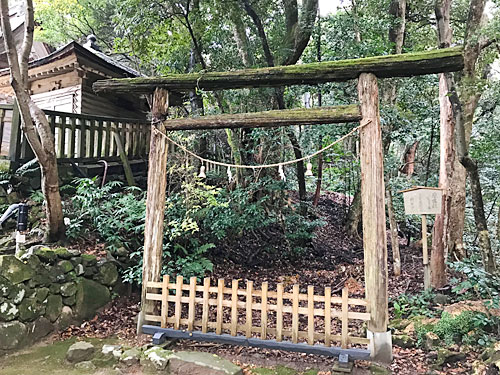 入らずの森の入口