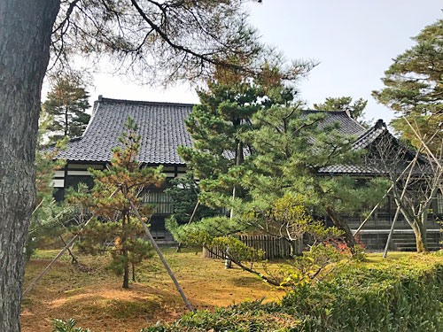 建物と庭