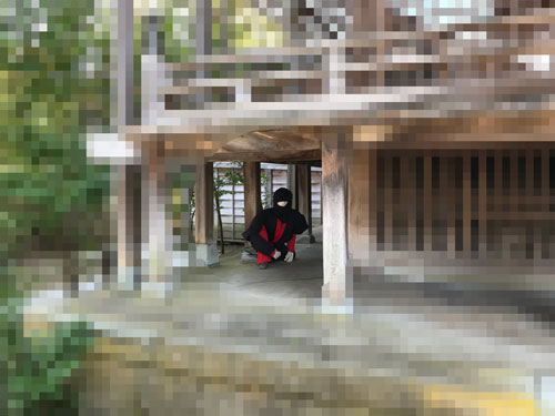 軒下の忍者