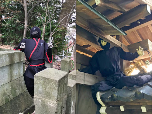 西養寺の忍者