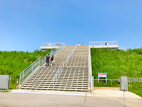 海王丸パークの展望台