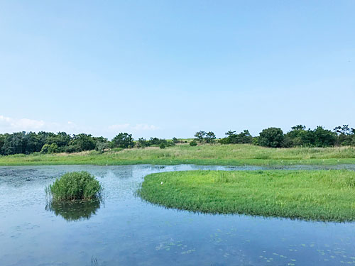 海王バードパーク