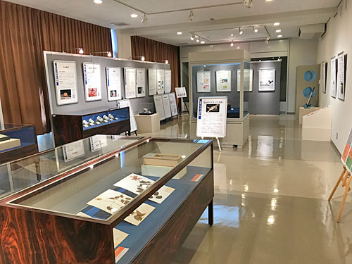 石川県立自然史資料館の企画展示室