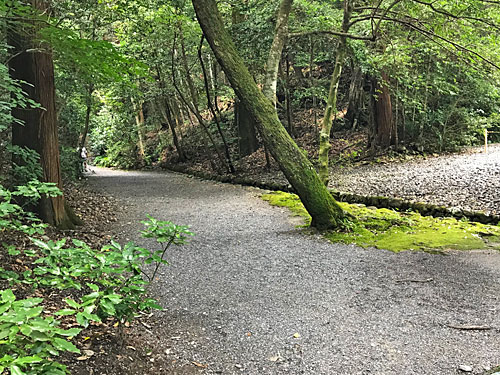 豊受大神宮の謎の細い通路