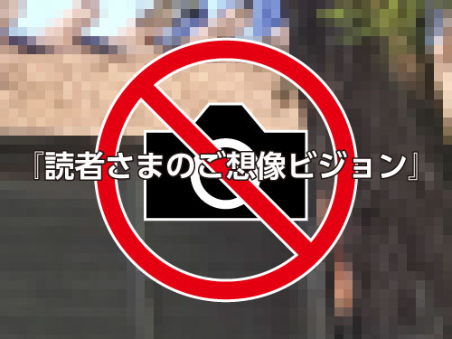 正宮の内部の塀