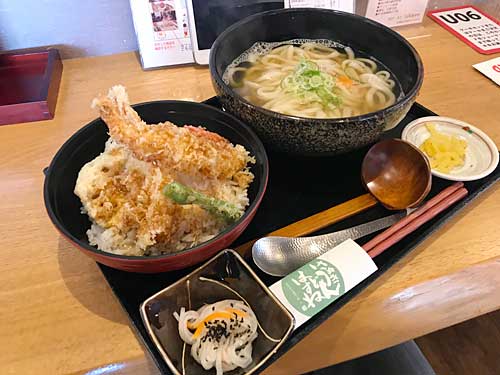 ハスネテラス　海老天丼かけうどんセット