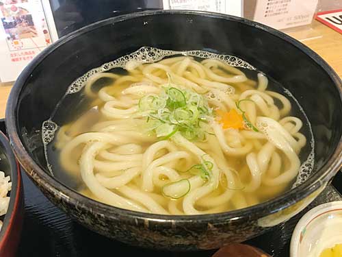 ハスネテラスのかけうどん