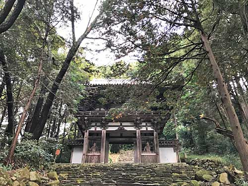 摠見寺の二王門