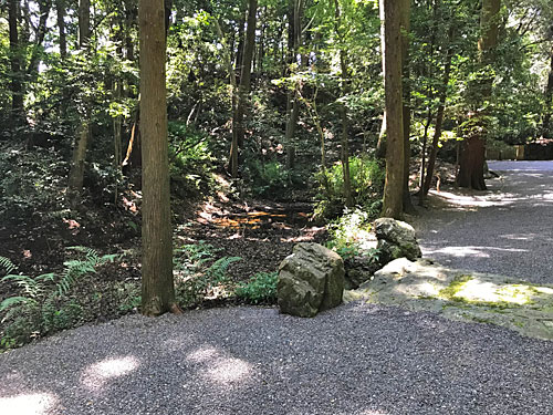 琵琶湖を表す池