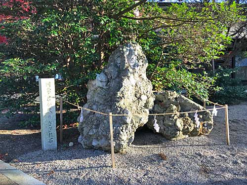 射水神社のさざれ石