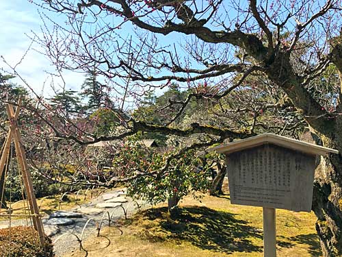 梅林の案内板