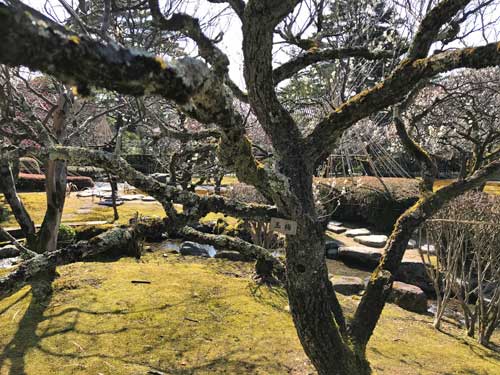 起伏に富む地面