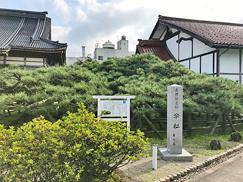 専修山 専念寺