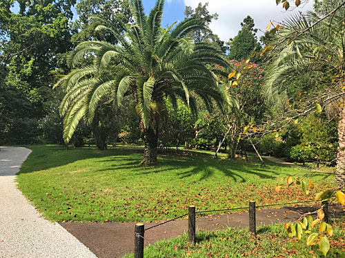 神宮美術館の西洋式整形庭園