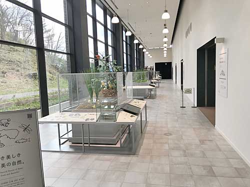 明るい展示室