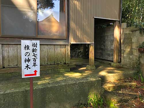 神木の入口