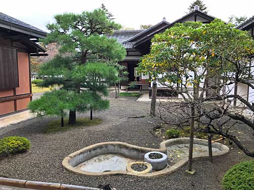 御座間の前の庭