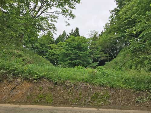 松根城の大堀切