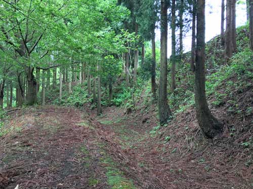 松根城の空堀と切岸