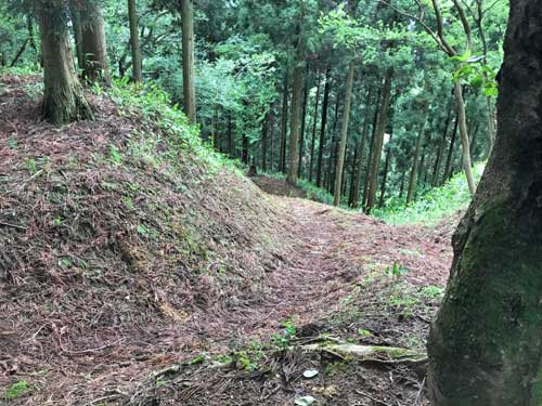 曲輪に登る通路