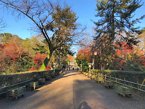 高岡城の本丸入口土橋