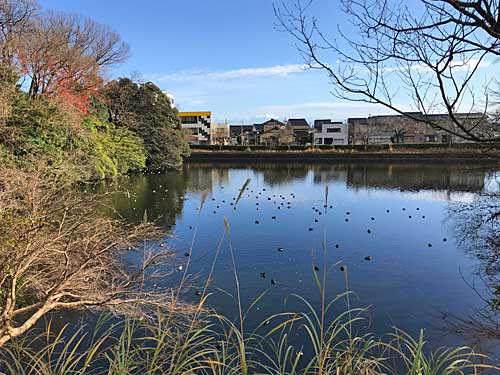 高岡城の水堀