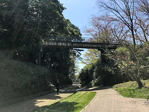 小丸山城址公園の大堀切