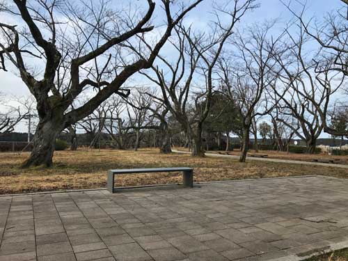 天性丸