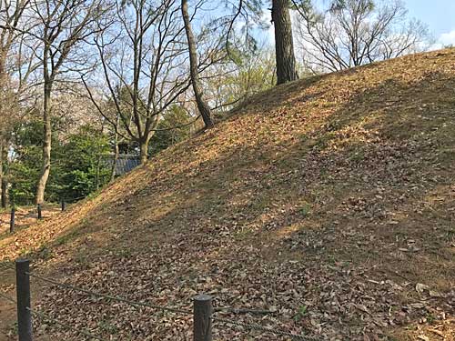 葺石のない表面