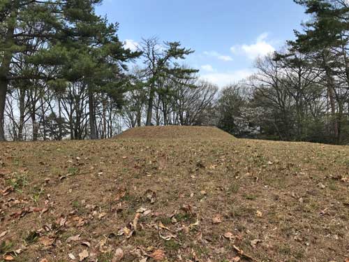 和田山古墳群5号墳の全景