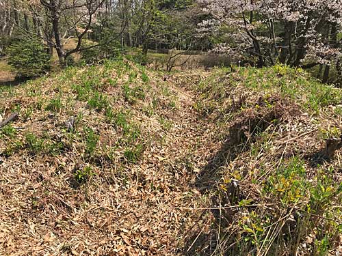 6号墳の後方部