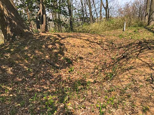 発掘の跡