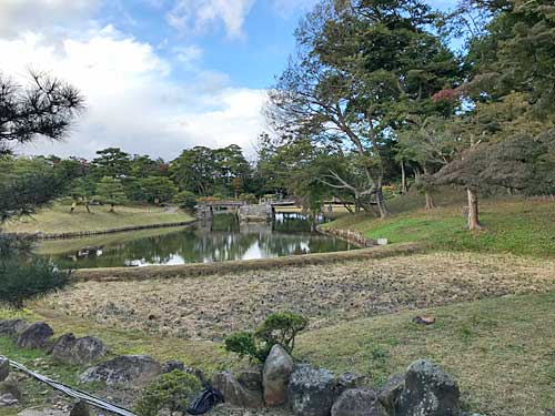 東口の田んぼ