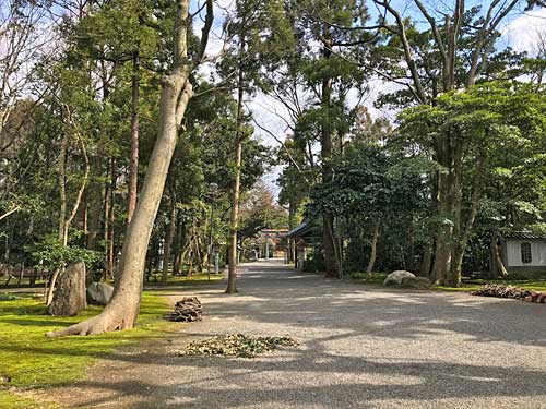 若宮八幡宮の参道