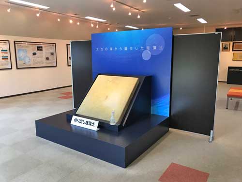 珪藻土の展示