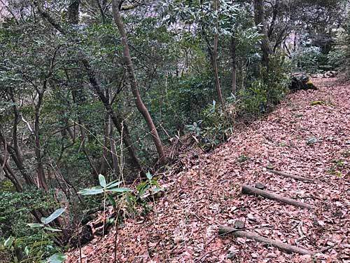 通路の様子