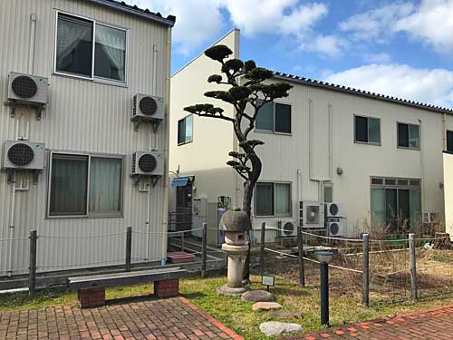 松と燈篭と飛び石