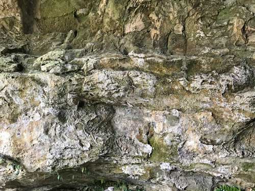 石灰岩の地質