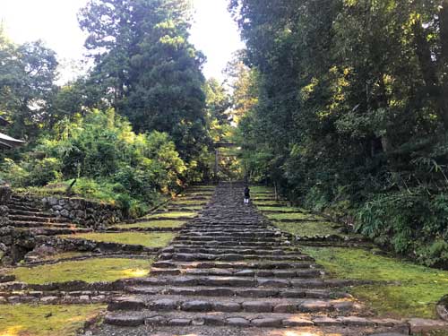 平泉寺の苔参道