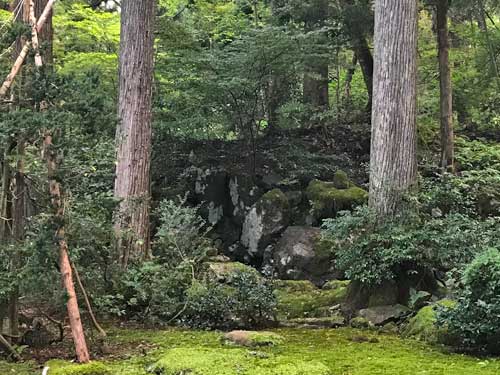 枯滝