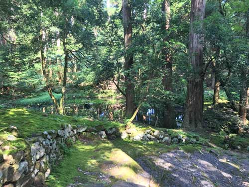 平泉寺の御手洗池