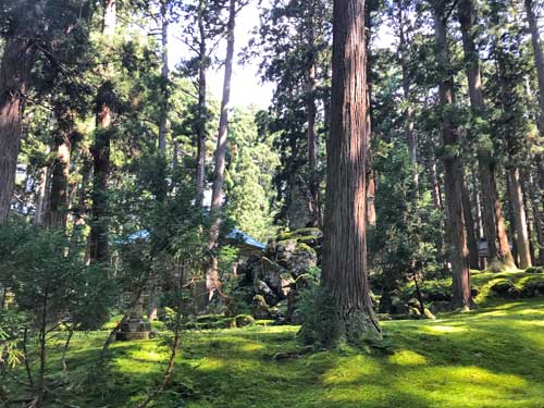 平泉寺の境内