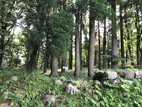 森寺城跡の本丸