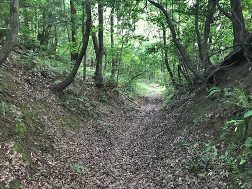 森寺城跡の掘底状の通路