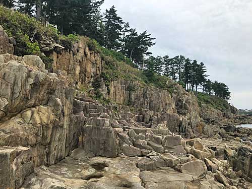 東尋坊の岩場