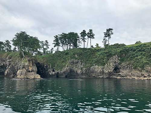 恐竜岩