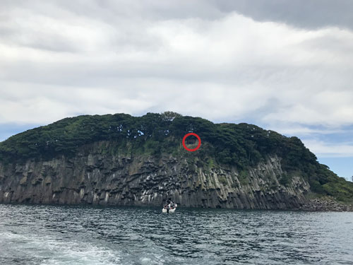 海上から見える大湊神社の赤鳥居