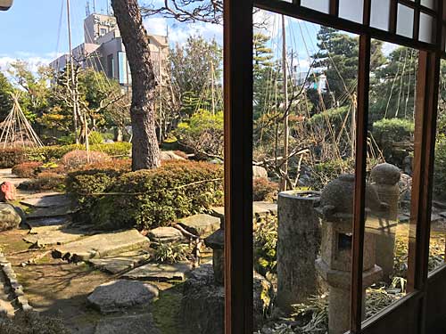 福寿草の間から眺める庭
