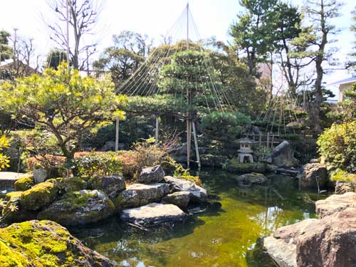 中央の庭