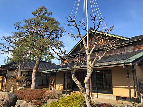 紫雲園から見た松任ふるさと館の建物
